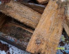 红旗镇案例展示
